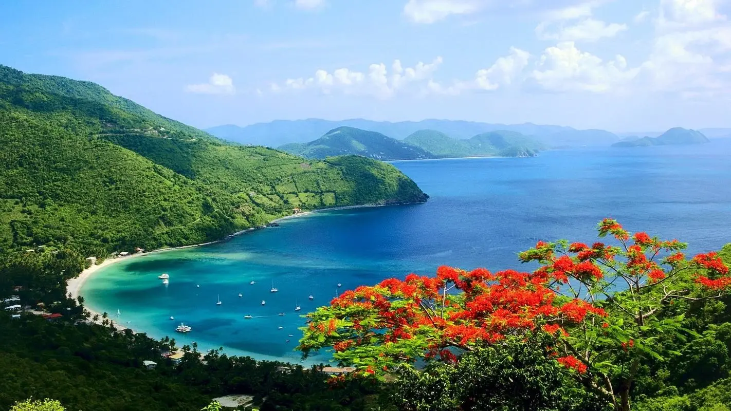 自动化可靠性精密